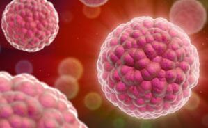 inimese papilloomiviiruse sümptomid ja ravi